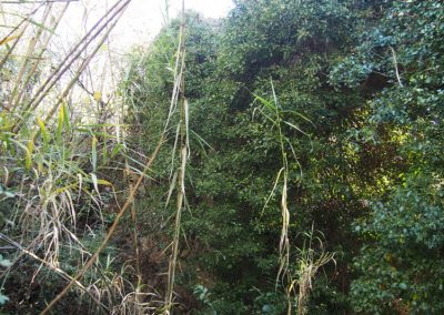 Acueducto del Barranco de Pepit